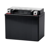 Batterie per Moto (29)