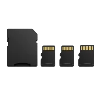 Schede di Memoria (17)