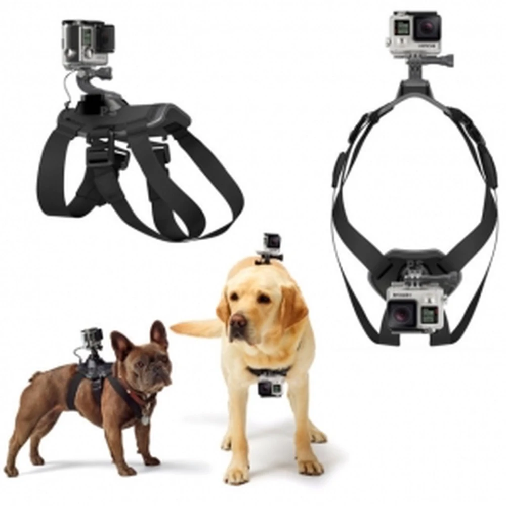 Imbracatura per cane per GoPro 1/2/3 e SJ4000, regolabile e resistente