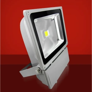 Faretto LED 100W 3000K Luce Calda per Esterni