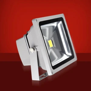 Faretto LED 10W 6000K luce brillante per esterni