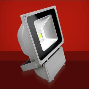 Faretto Proiettore LED 70W 6500K Luce Brillante per Esterni