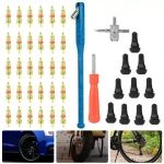 Set attrezzi riparazione pneumatici estrazione valvole TSX TOOL 43 pezzi