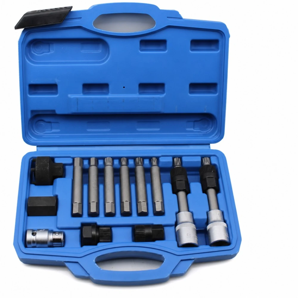 Kit Estrattore Pulegge Alternatore 13 Pezzi Chiavi Bussola Ruota Libera OAD Professionale