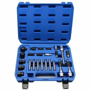 Kit Estrattore Pulegge Alternatore 24 Pezzi Professionale Ruota Libera OAD Universale